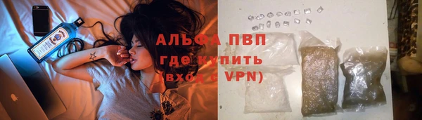 spice Гусиноозёрск