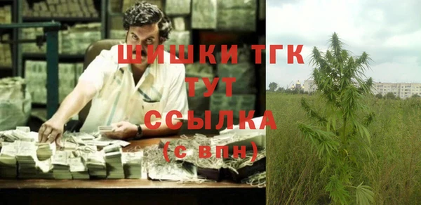 стаф Горнозаводск